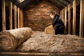 Professional Insulation Installation & Removal in Arabi, LA